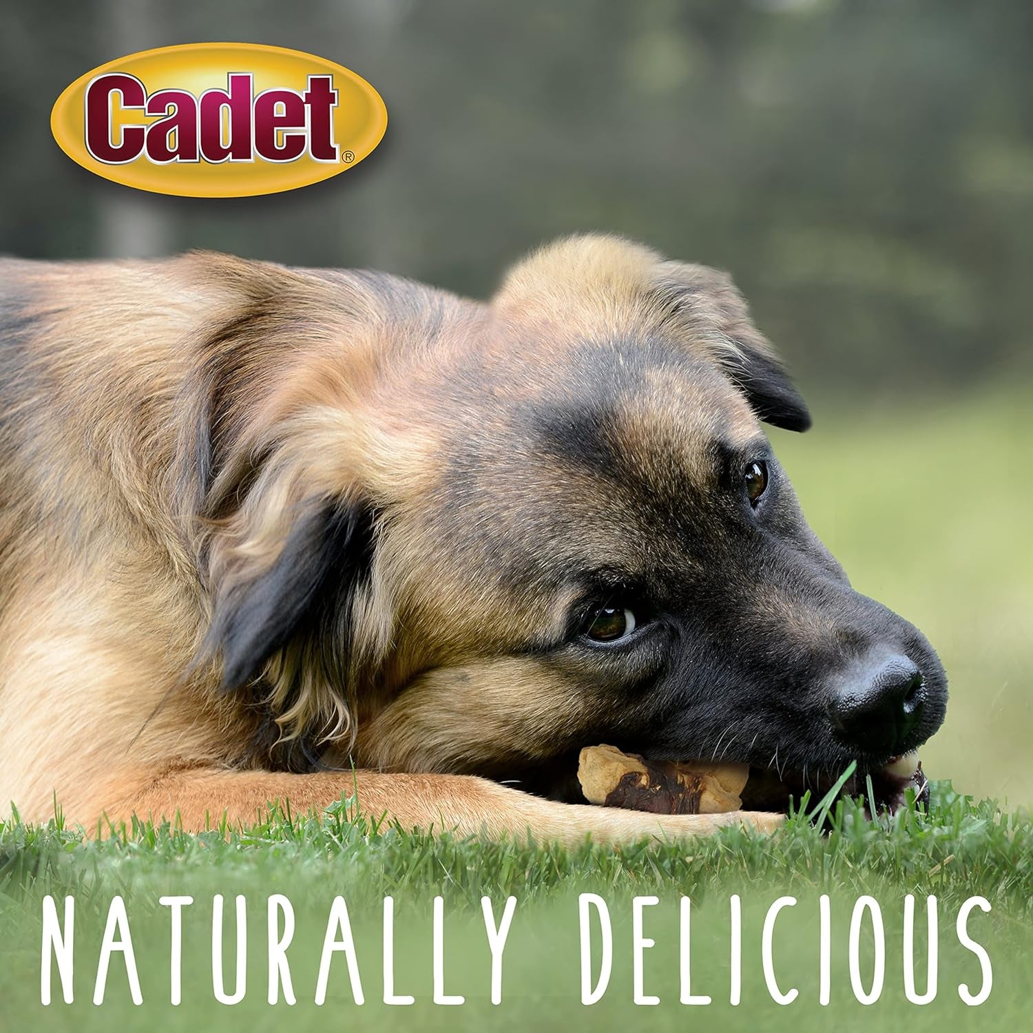 Gourmet Apple & Chicken Dog Treats Wraps - Healthy & Natural Chicken & Apple Dog Training Treats for Small & Large Breeds - Inspected & Tested in USA (28 Oz.)